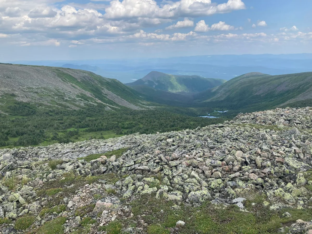In the northern Appalachian Mountains, warmer weather is making alpine regions greener