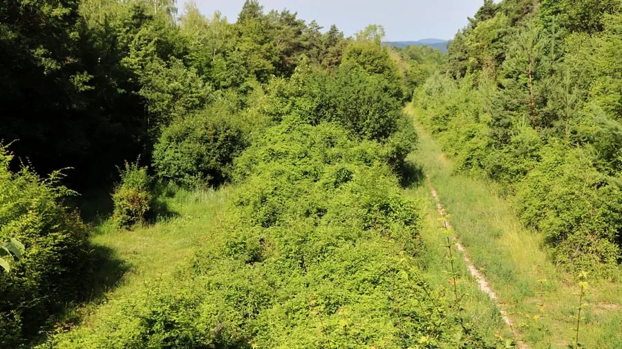 Thüringen: Vom Asphalt zur Natur: Wandern in den Hörselbergen