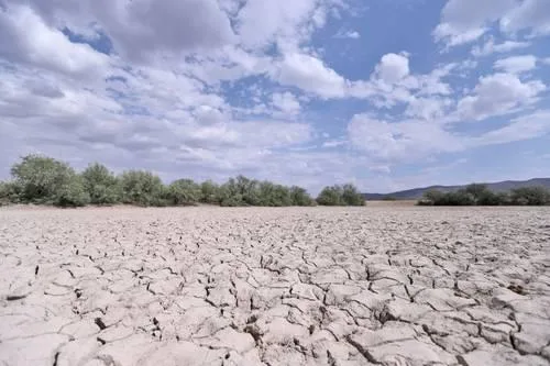 Ubican a 23 municipios de Coahuila en condición anormalmente seca