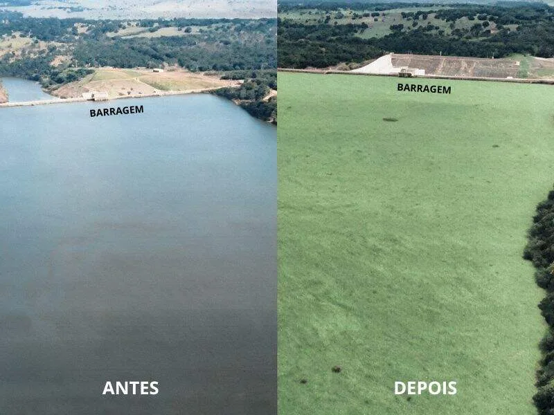 Usina diz que faz estudo sobre plantas aquáticas no reservatório de Mimoso
