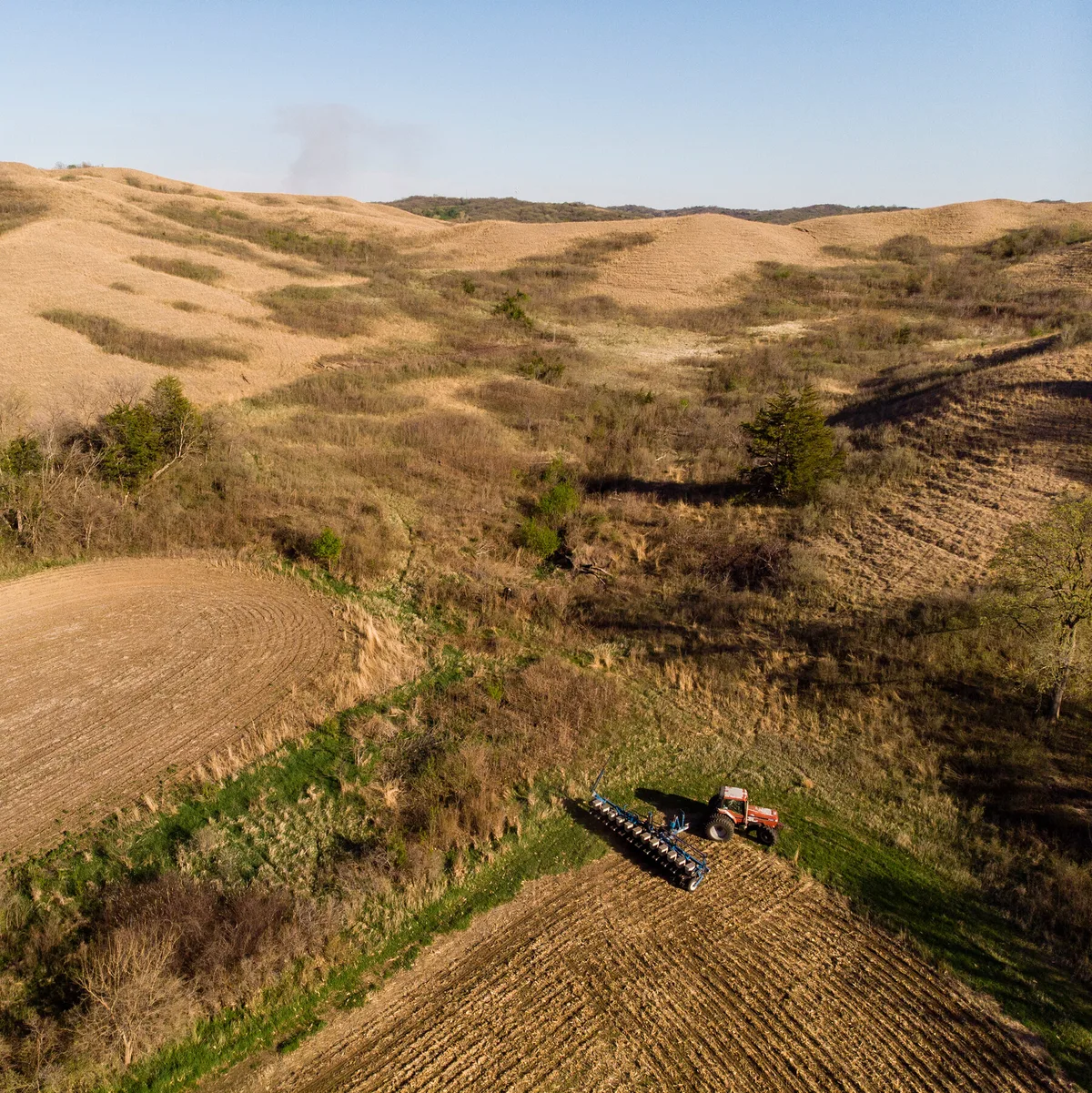 How Farmers Are Staying Afloat as Crop Prices Plunge