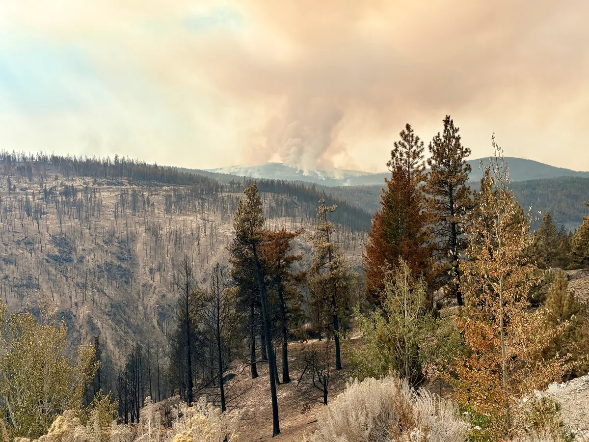 Wildfire near Summerland, B.C., that forced thousands to flee being held