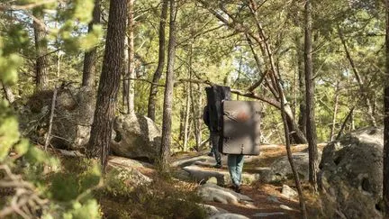 "La mobilisation de tous a permis de contenir les incendies" : les autorités déclarent le feu éteint en forêt de Fontainebleau