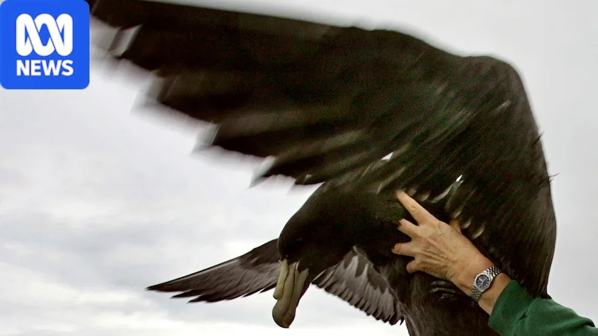 How does H5N1 bird flu spread to humans and what are the health risks?