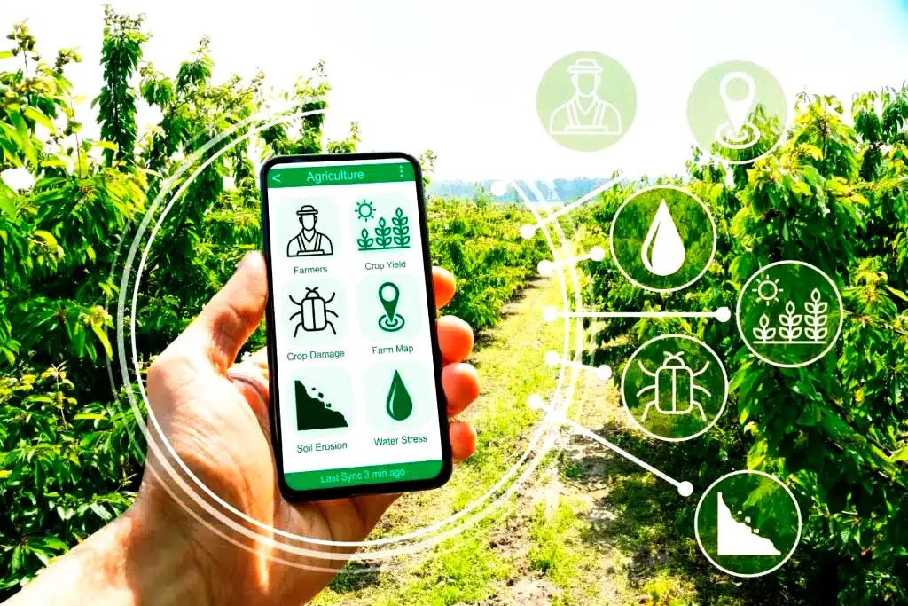 Agroo seleccionada por IICA entre las 15 mejores aplicaciones tecnológicas agroalimentarias