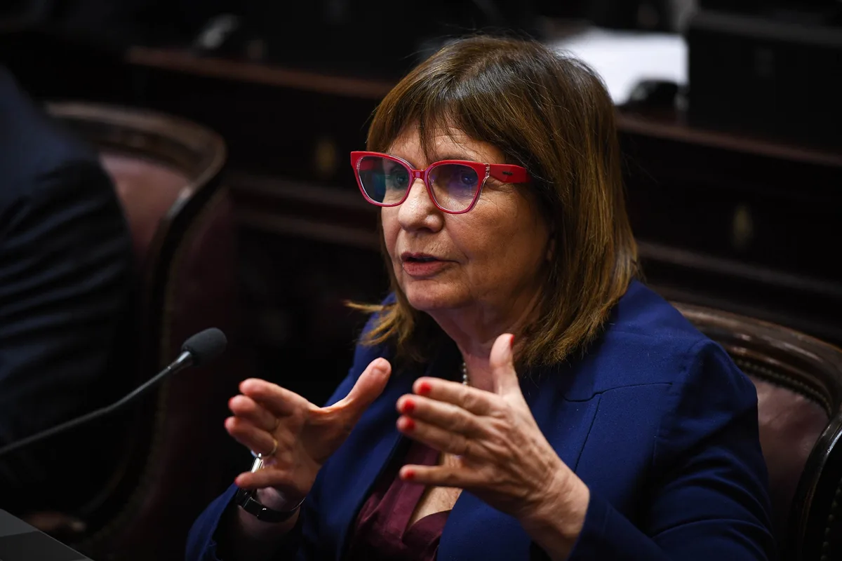 Bullrich volvió a diferenciarse del Gobierno por los recortes en Discapacidad y cruzó a Santilli: “Lo que dijo es mentira”
