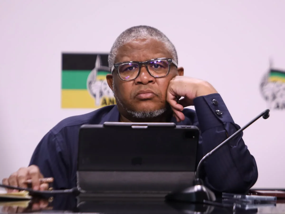 READER LETTER | ANC, Mbalula punch-drunk on the ropes