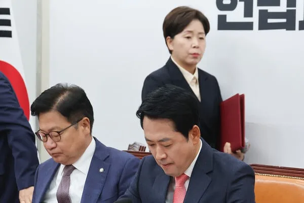 国民の力、ARSエラーでも再選挙せず