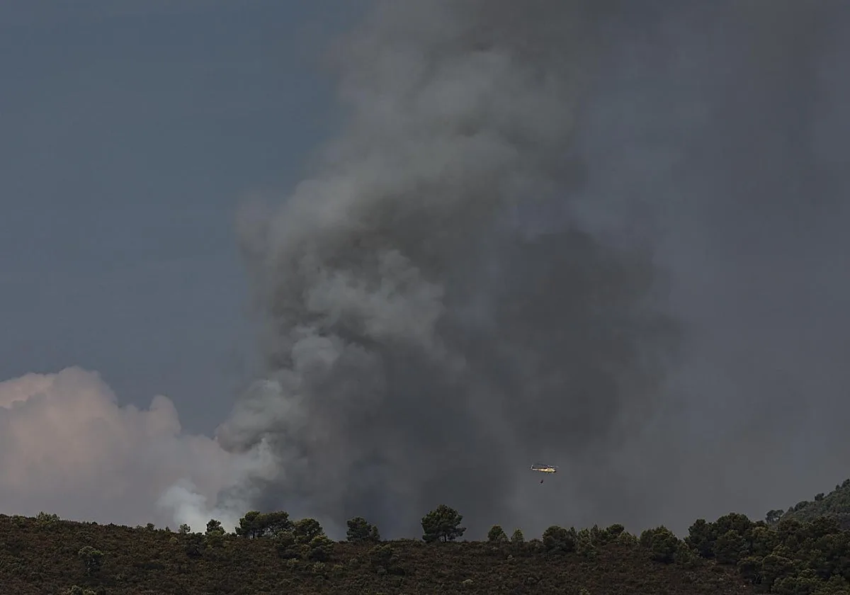 Un incendio forestal provocado por un rayo avanza hacia la Sierra Calderona