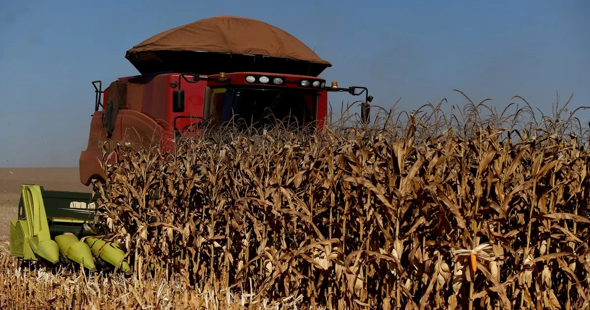 La cosecha motorizó el movimiento económico en las cadenas agroindustriales