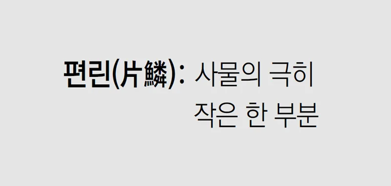 [신문과 놀자!/미션 나의 문해력]편린(片鱗)