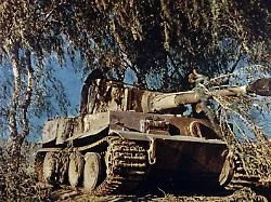 Wehrmacht-Panzer mit Übergewicht: Der Tiger entschied Gefechte, aber keine Feldzüge