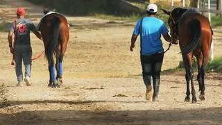 Atención la segunda carrera de la tarde queda con una nómina de siete participantes en La Rinconada