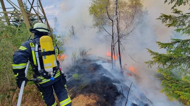 Flammen an steilem Hang: Waldbrand bei Schramberg: Dauer des Einsatzes unklar