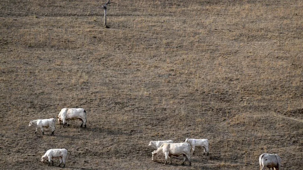 COP17 contre la désertification : la France n'échappe pas à la dégradation de ses sols
