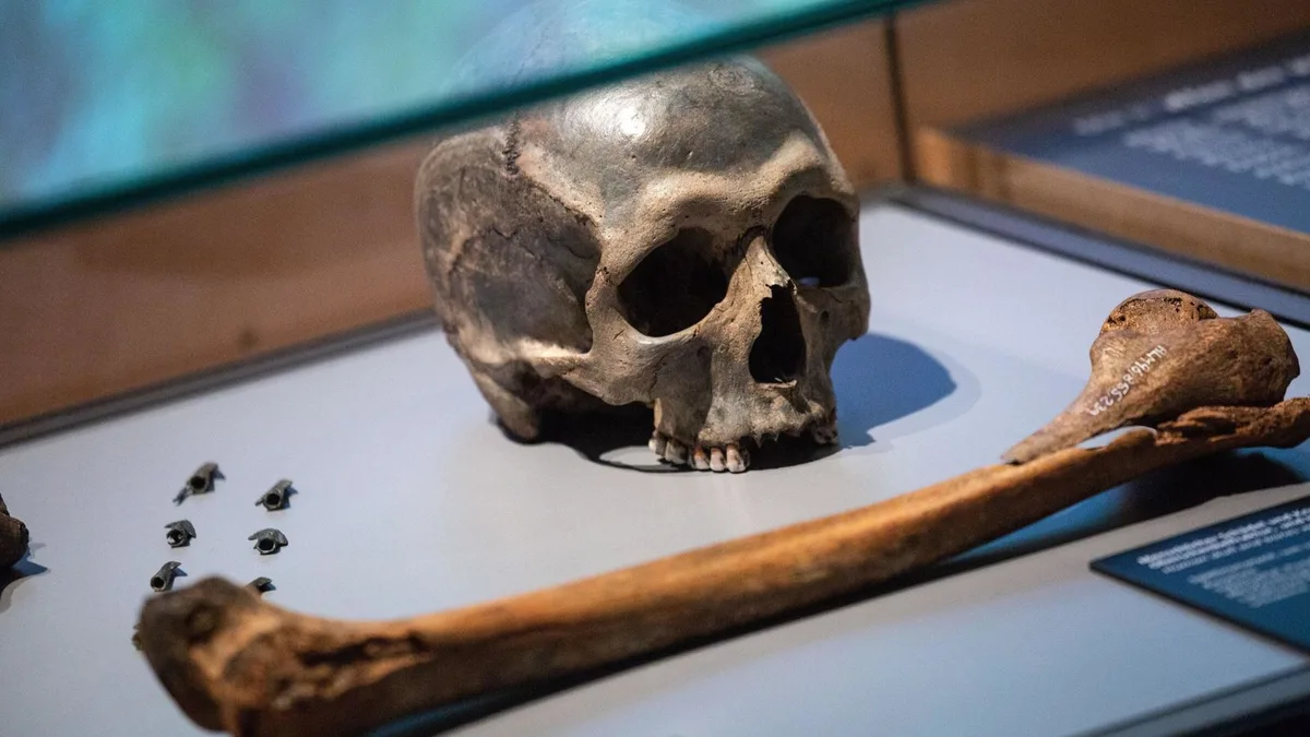 Analizan el ADN de dos momias chilenas de hace 500 años y dictan sentencia acerca de si Europa llevó la viruela a América