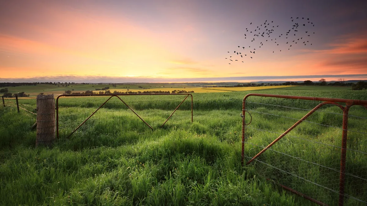 Volvió a caer la actividad inmobiliaria rural