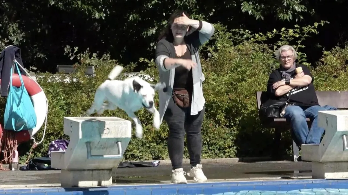 Sahlenburg: Waldfreibad öffnet einen Tag nur für Hunde – Besitzer sind begeistert