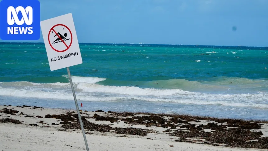 Minister issues 'unusual' catch-and-kill order for shark after fatal attack
