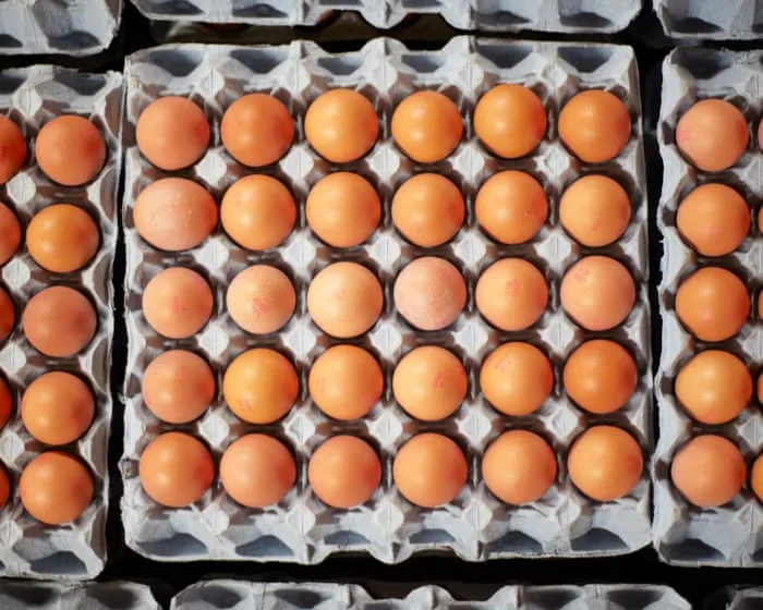 Salmonella cases in UK likely to rise until source of outbreak is found