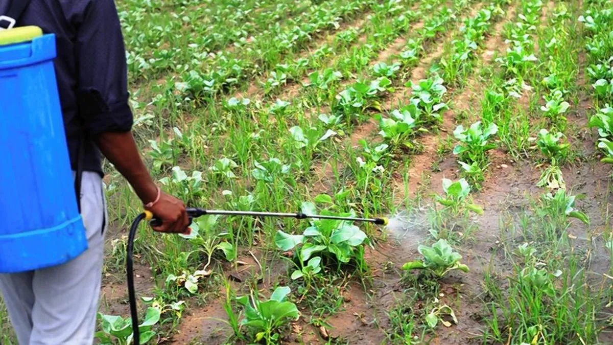 Agriculture department seizes pesticides worth ₹3.12 lakh in Bengaluru