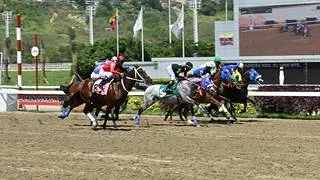 Duelo de titanes en La Rinconada: La reunión 41 se viste de gala con clásicos grado II