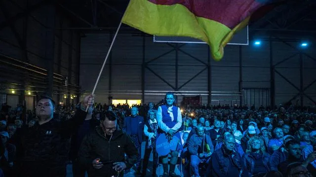 Wählerschaft der AfD: Das sind die drei AfD-Wählertypen