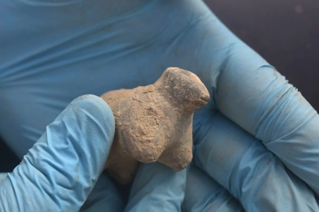 Hallan estatuillas para ritos de fertilidad y protección en fortaleza preincaica en Perú