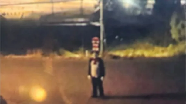 Cat in the Hat suspect who chased a teen girl in B.C. appears to be a trend copycat