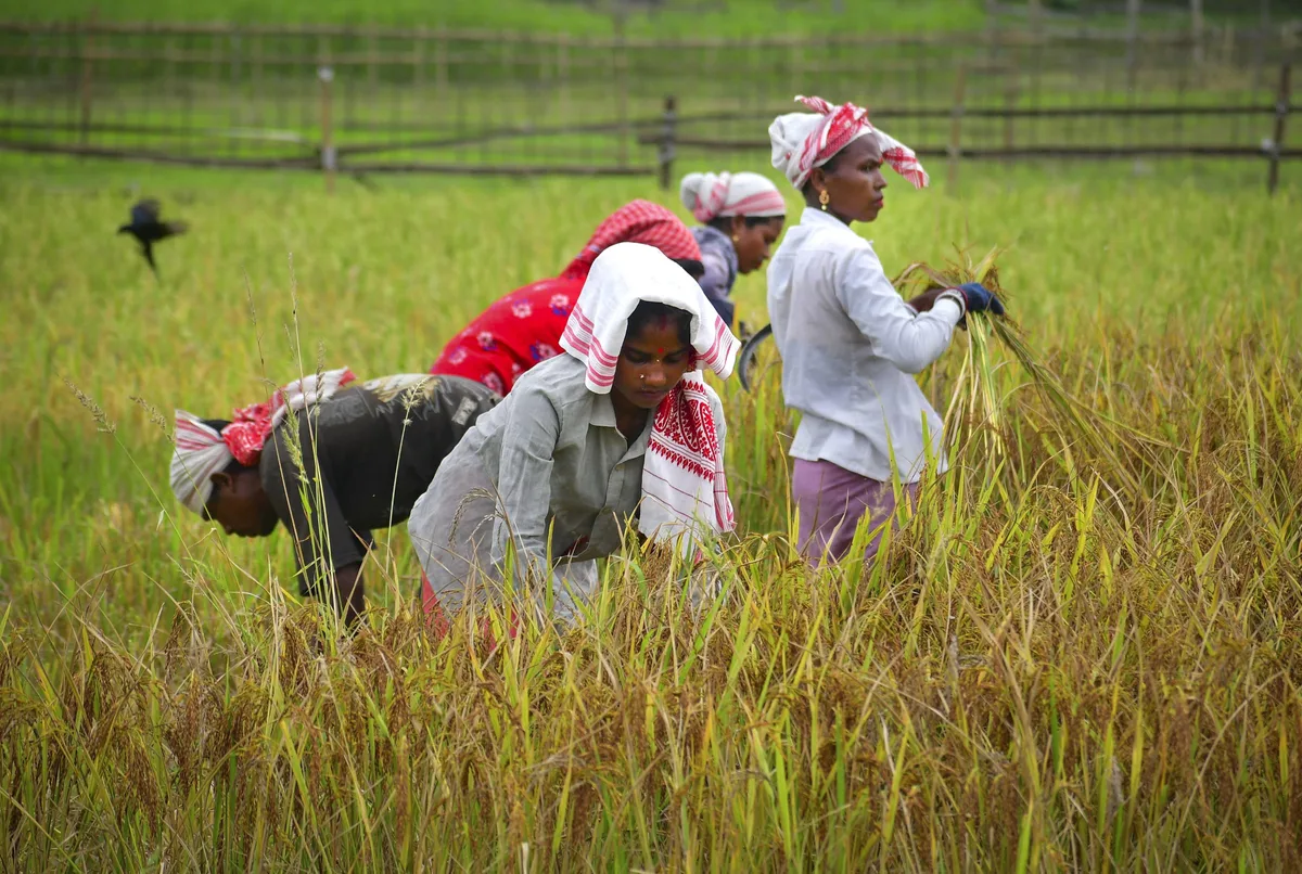 Crop protection firms seek 5-year data protection in Pesticides Bil