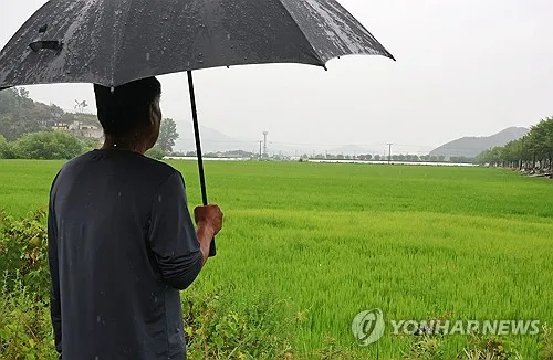 남부·제주 최고 270㎜ 폭우…가뭄 해갈 기대 속 피해도 잇따라