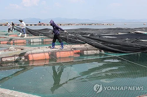 탄소 비교적 적게 배출해도…'해양열파' 연중 300일 이상 발생