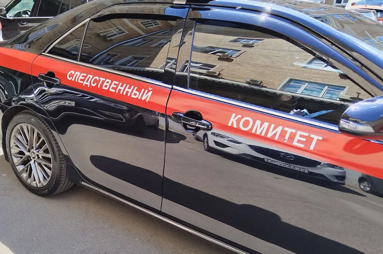 В минприроды Красноярского края прошли обыски из-за нападений медведей