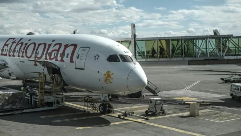 Boeing condamné à verser 29 millions de dollars à la famille d'une victime du crash d'Ethiopian Airlines (deux plaintes similaires restent en attente de jugement)