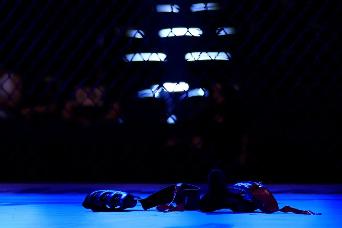 Турнир UFC Fight Night 291 повторил рекорд лиги по числу нокаутов