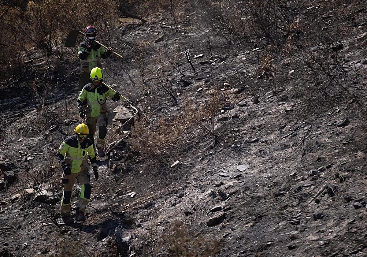 La Junta de Andalucía estima que el incendio de Niebla «ha quemado una superficie de 33.000 hectáreas»