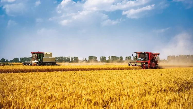 China's agriculture is well-positioned to tackle El Niño：NDRC