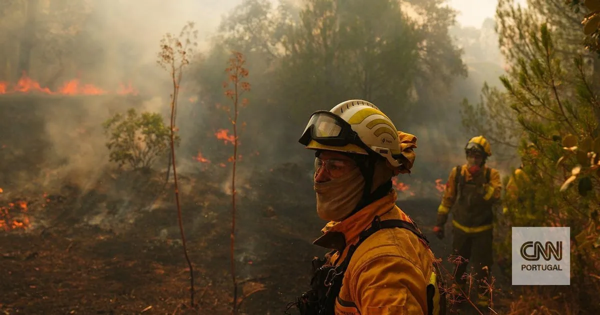 Foi criada inteligência artificial que prevê incêndios florestais mais perigosos até 16 dias antes