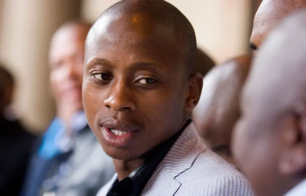 Court rules Lungisa’s removal from ANC candidate list unlawful