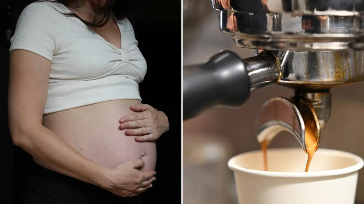 Pregnancy myths busted: The rules women can relax about - and the hidden risks they need to know