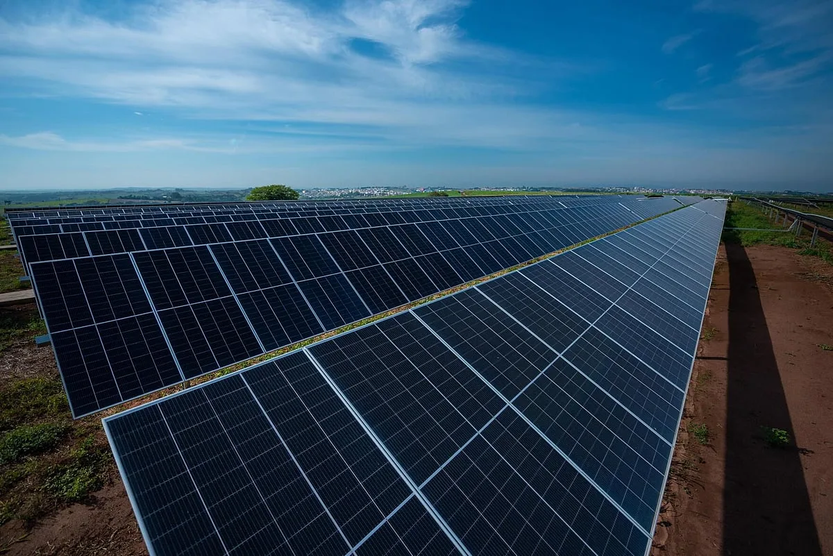 Rewilding Portugal mantém oposição à central solar Sophia por riscos para biodiversidade