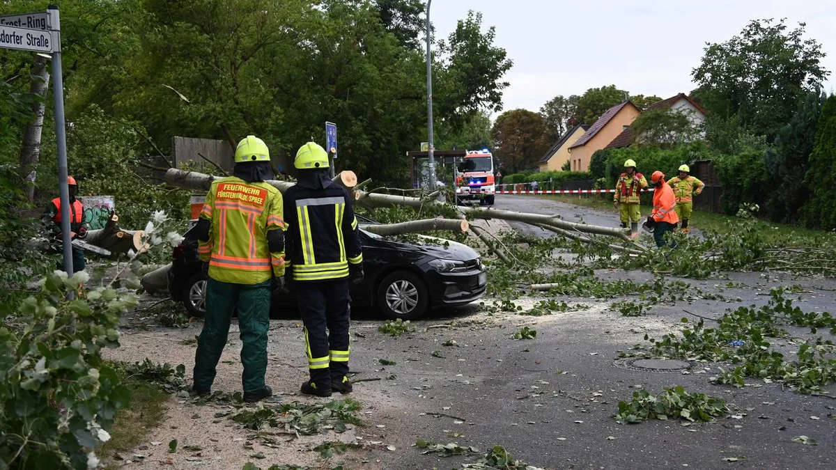Unwetter: Verletzte durch umgestürzten Baum in Rheinland-Pfalz