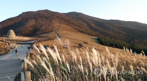 울산시, 제주 전국체전 현장에 '울산 관광 홍보관' 운영