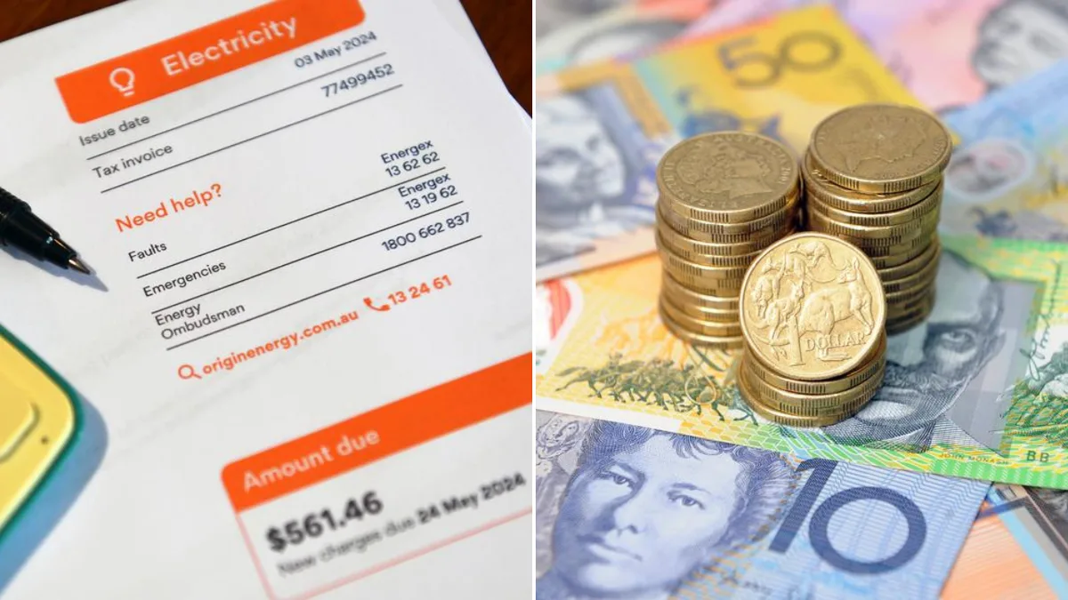 Energy regulator urged to slash electricity bill premiums to ease cost of living