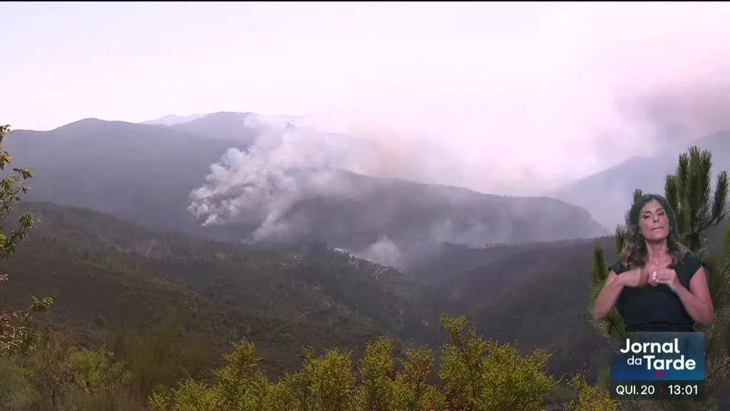 Incêndio em Arouca está dominado