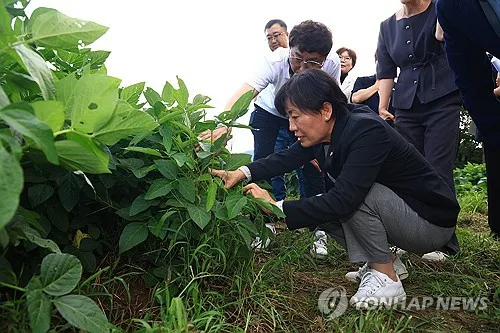 [동정] 농식품부 장관, 경북 구미 공동영농 우수 현장 방문
