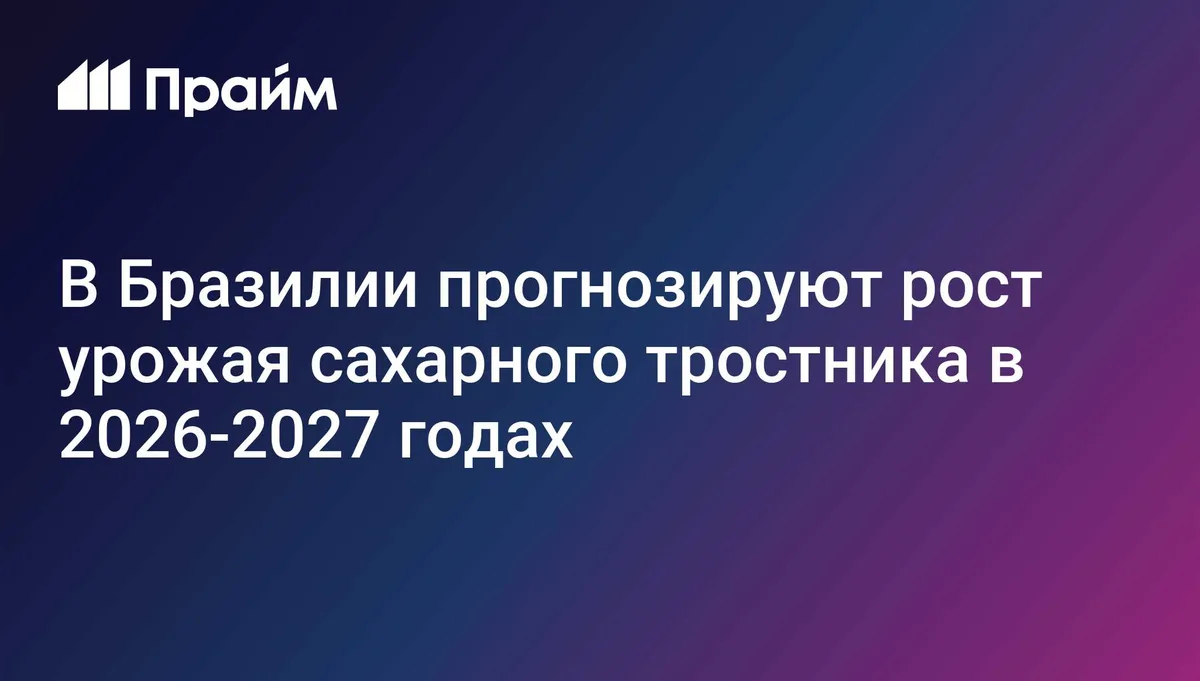 В Бразилии прогнозируют рост урожая сахарного тростника в 2026-2027 годах