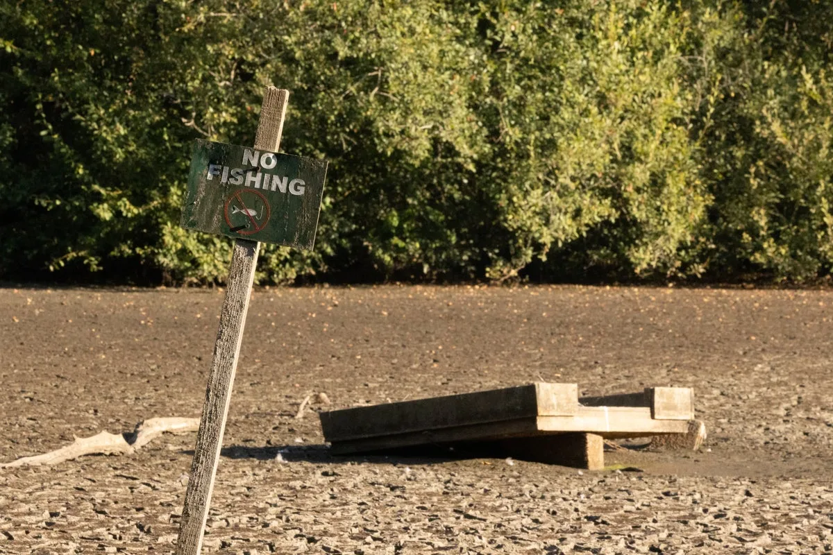 What is severe drought – and where has it been declared in the UK?