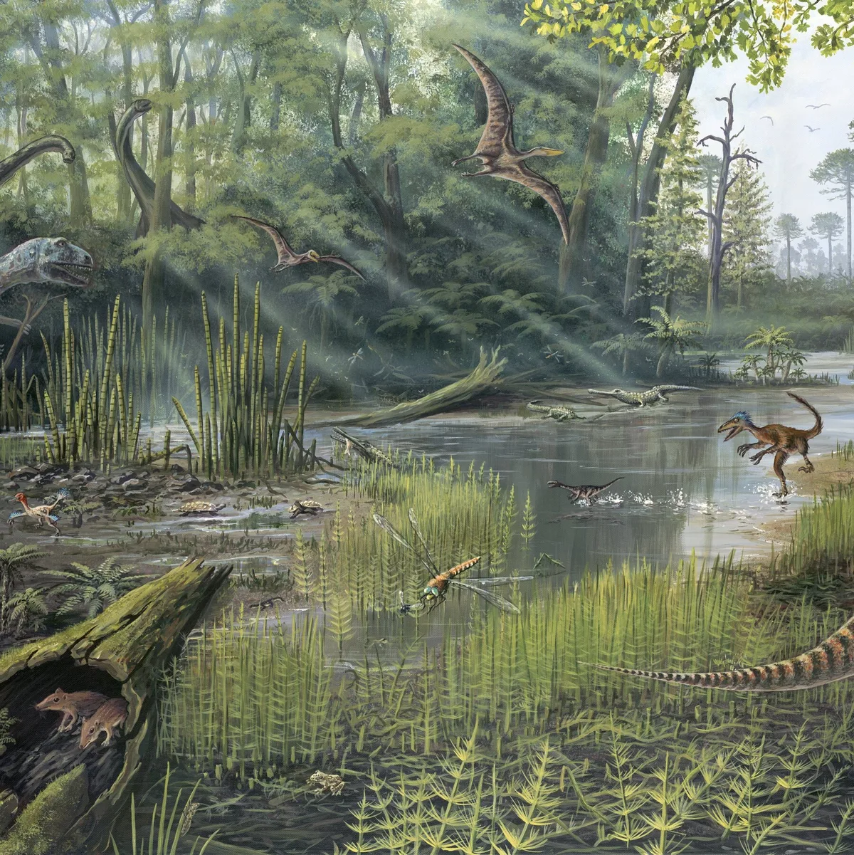 What Did Jurassic Forests Sound Like? Like This.