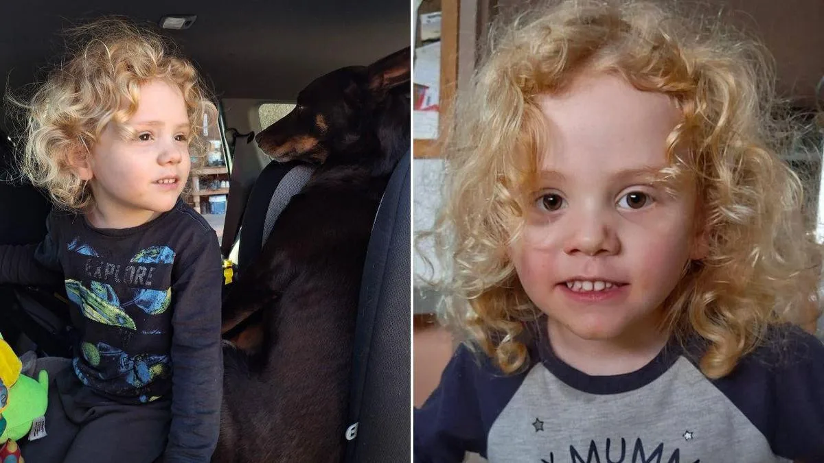 Gus Lamont: Dozens of new tip-offs flood in after $1m reward announced in outback missing persons case